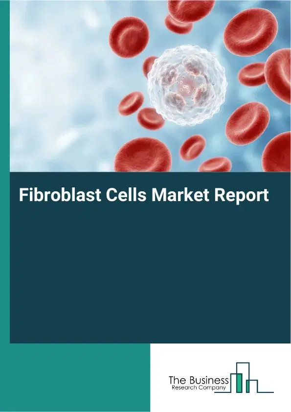 Global Fibroblast Cells Market Report 2026