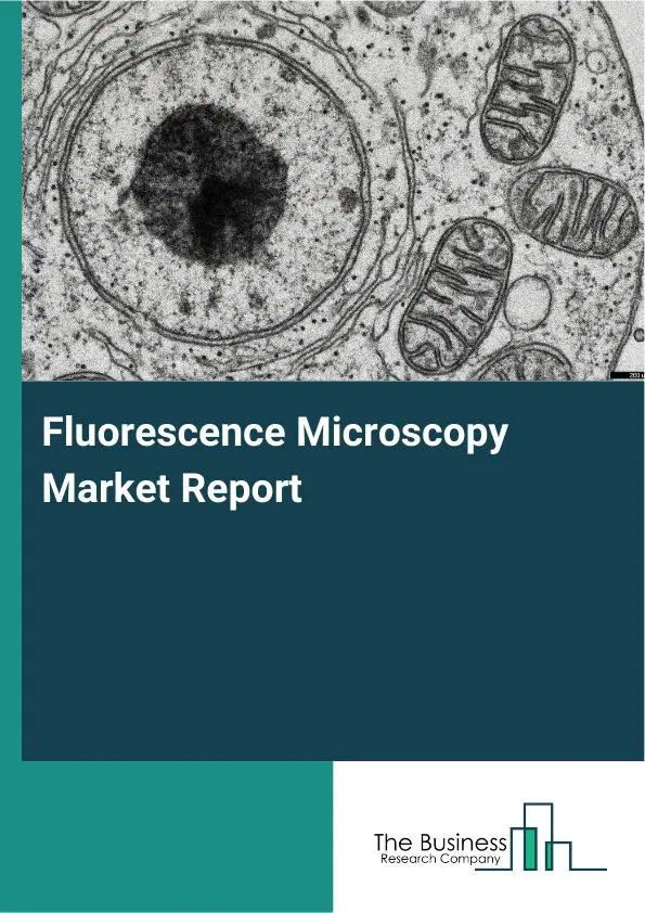Global Fluorescence Microscopy Market Report 2026