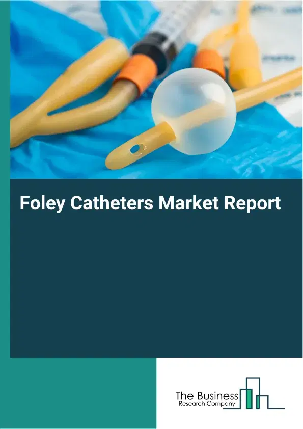 Global Foley Catheters Market Report 2026