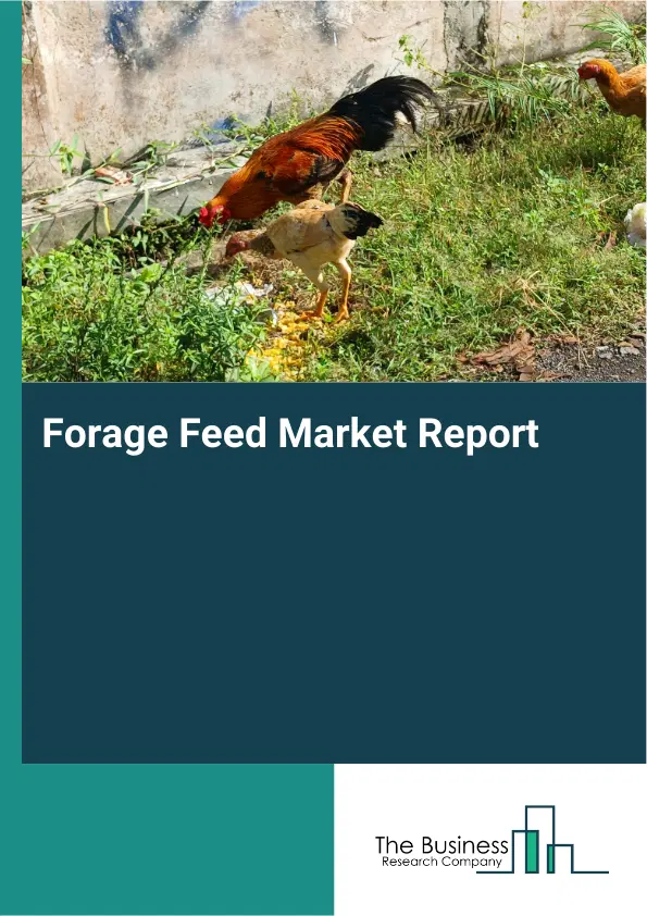 Forage Feed Market Report 2026