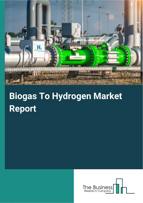 Global Biogas To Hydrogen Market Report 2026