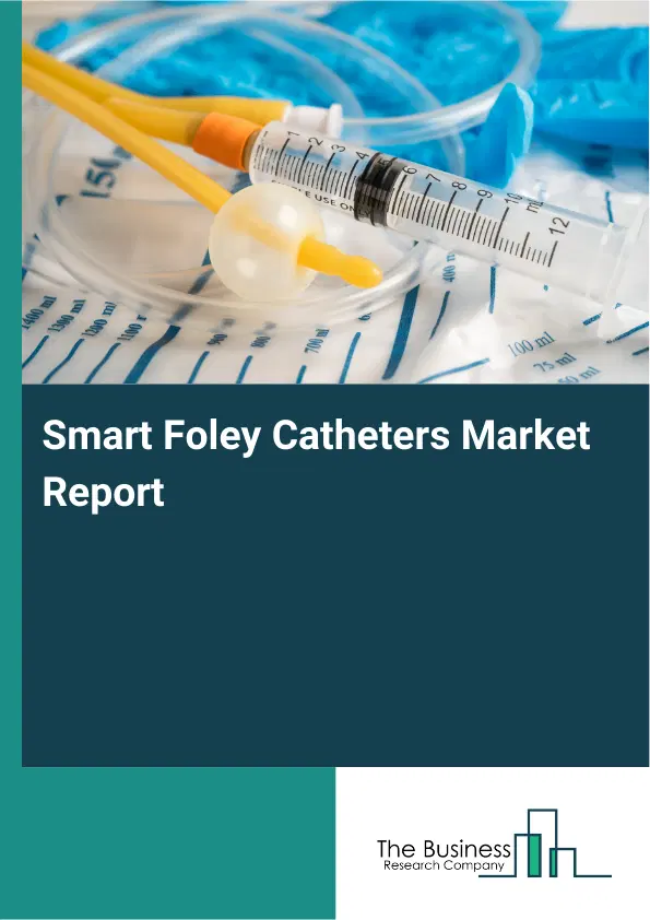 Global Smart Foley Catheters Market Report 2026
