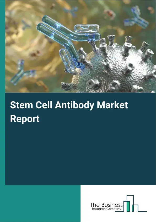Global Stem Cell Antibody Market Report 2026