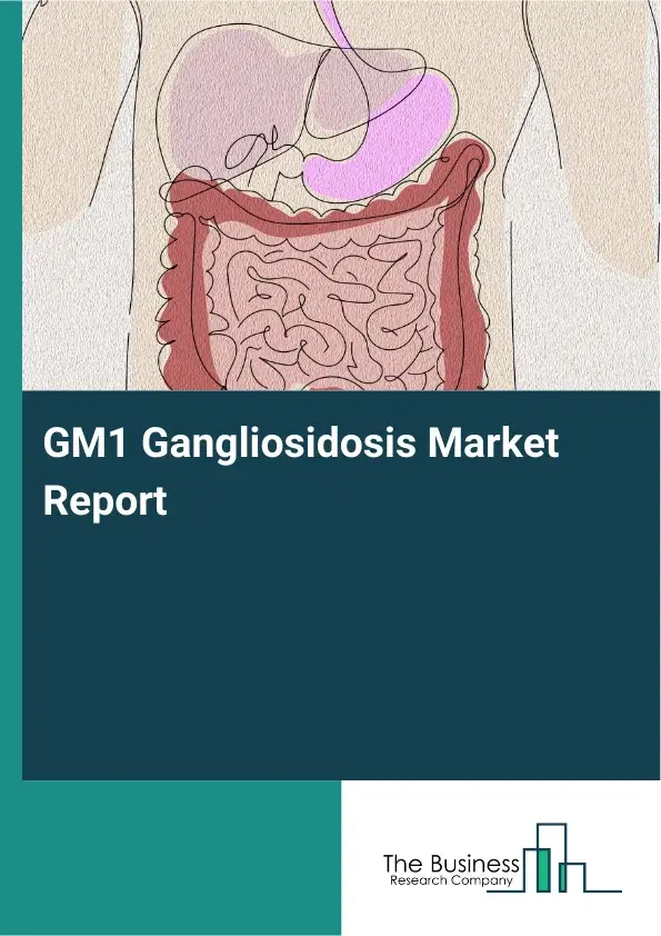 Global GM1 Gangliosidosis Market Report 2026