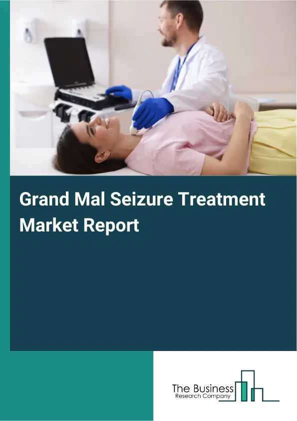 Global Grand Mal Seizure Treatment Market Report 2026