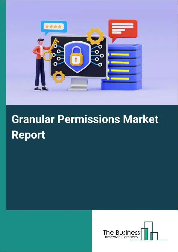 Global Granular Permissions Market Report 2026