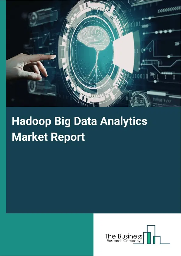 Global Hadoop Big Data Analytics Market Report 2026