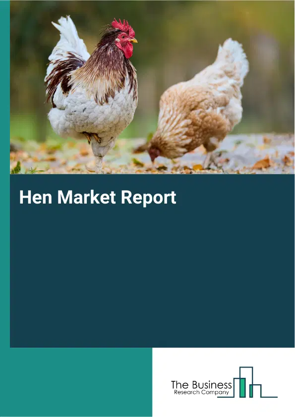 Global Hen Market Report 2026