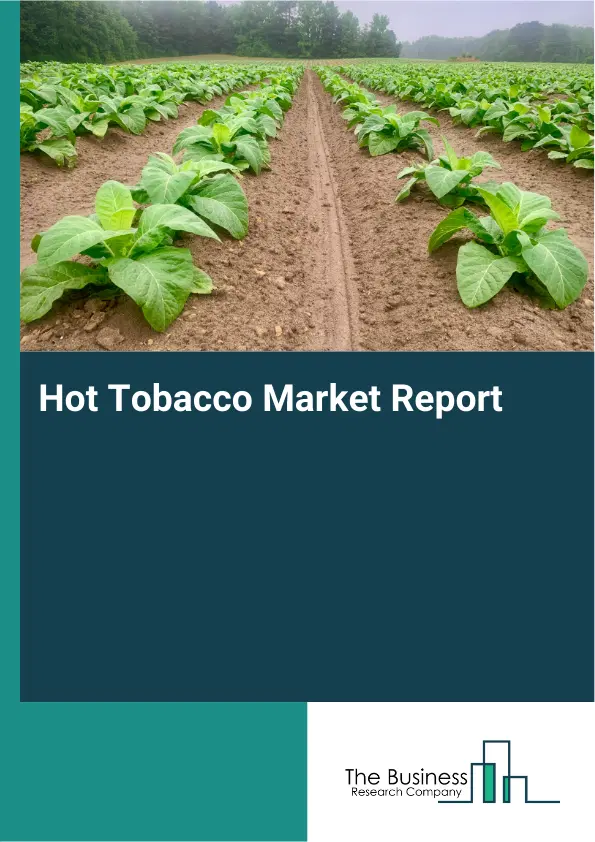 Global Hot Tobacco Market Report 2026