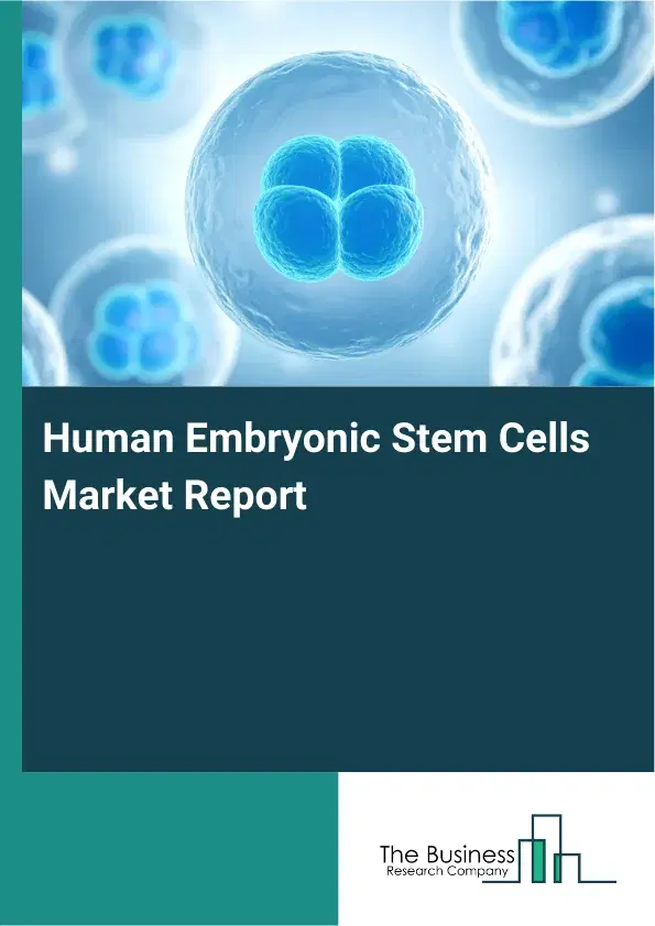 Global Human Embryonic Stem Cells Market Report 2026