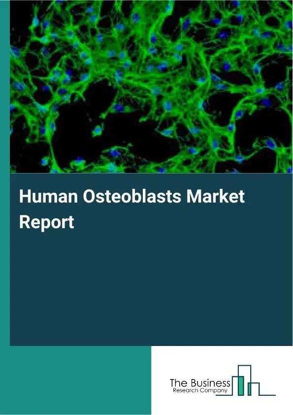 Global Human Osteoblasts Market Report 2026