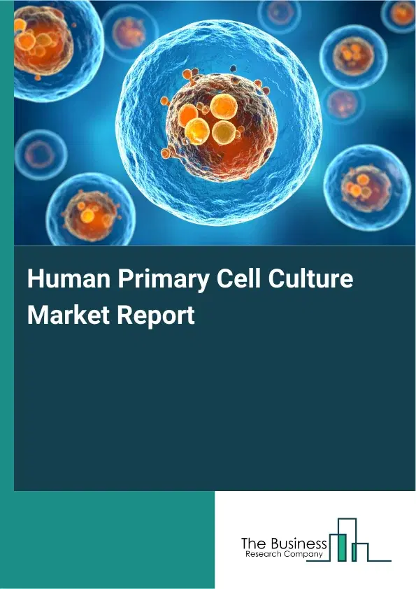Global Human Primary Cell Culture Market Report 2026