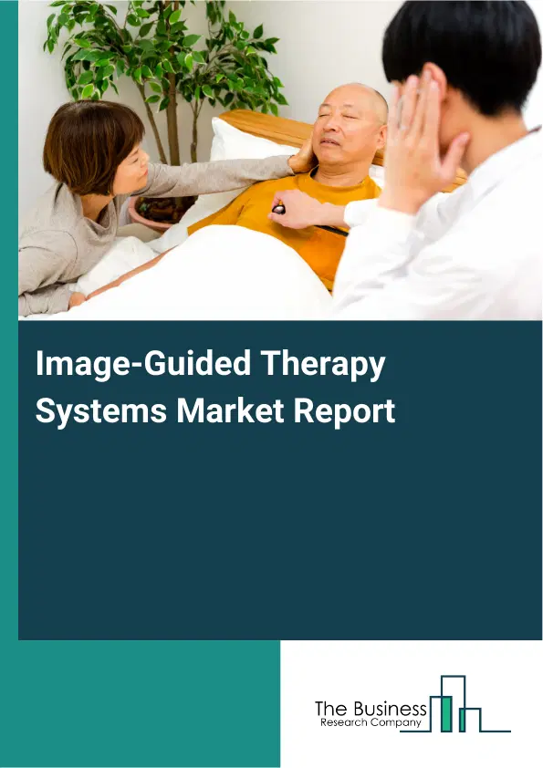 Global Image-Guided Therapy Systems Market Report 2026