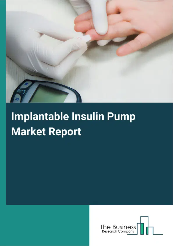 Global Implantable Insulin Pump Market Report 2026