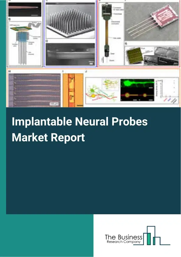 Global Implantable Neural Probes Market Report 2026