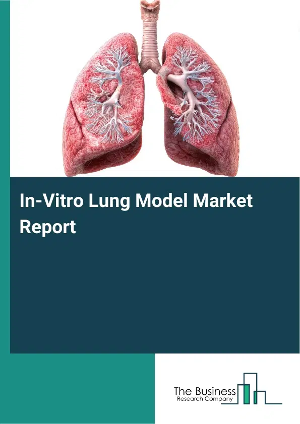 Global In-Vitro Lung Model Market Report 2026