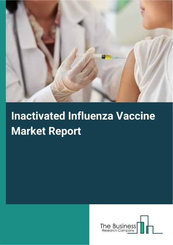 Global Inactivated Influenza Vaccine Market Report 2026