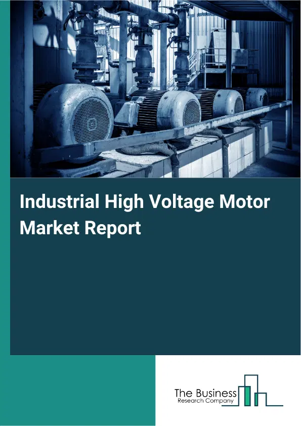 Global Industrial High Voltage Motor Market Report 2026