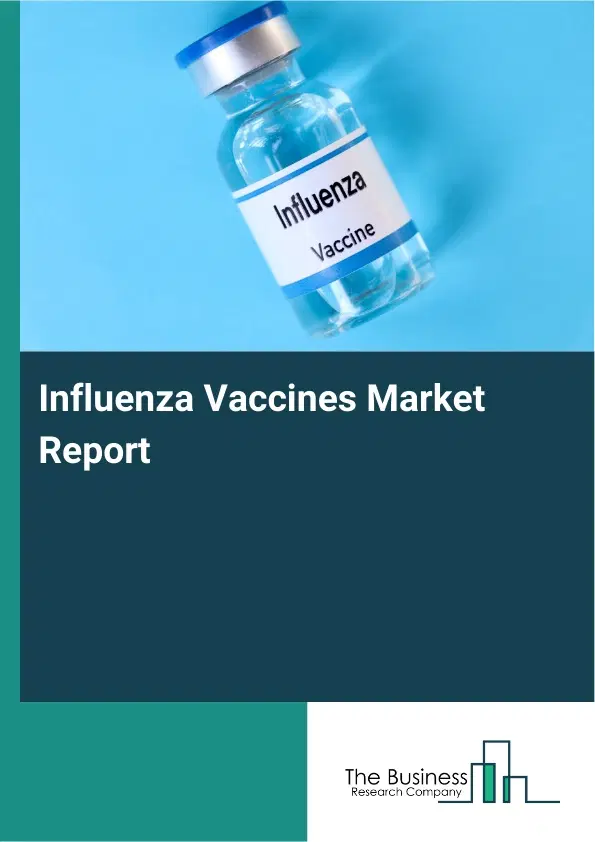 Global Influenza Vaccines Market Report 2026