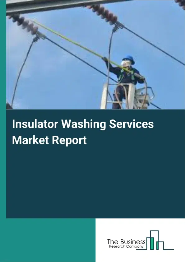 Global Insulator Washing Services Market Report 2026