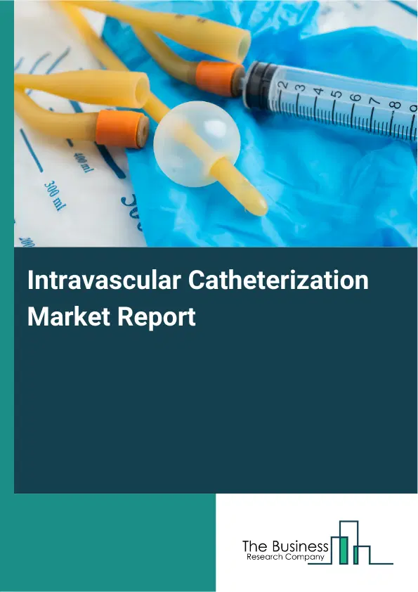 Global Intravascular Catheterization Market Report 2026