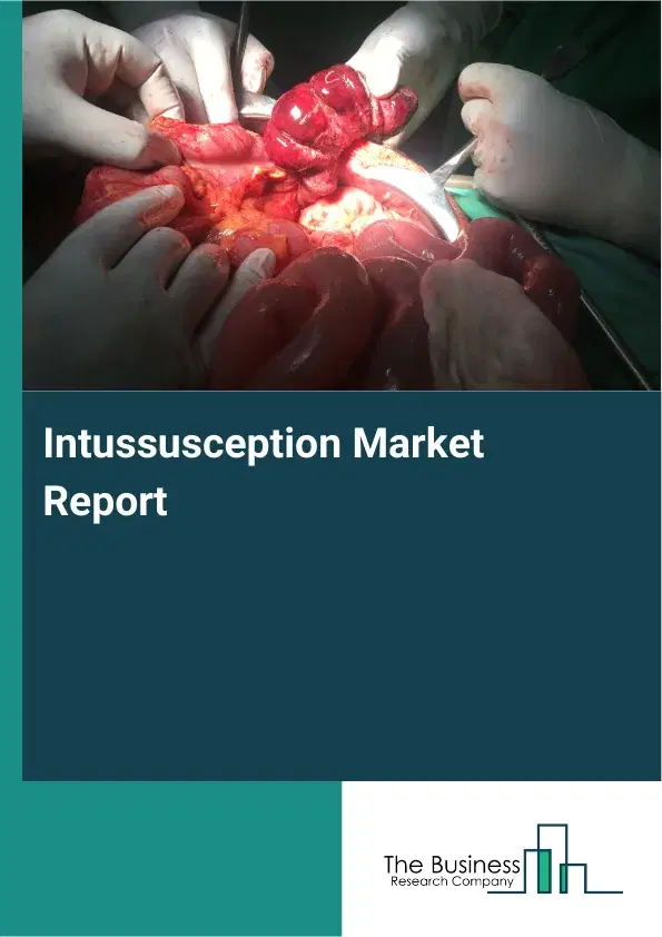 Global Intussusception Market Report 2026
