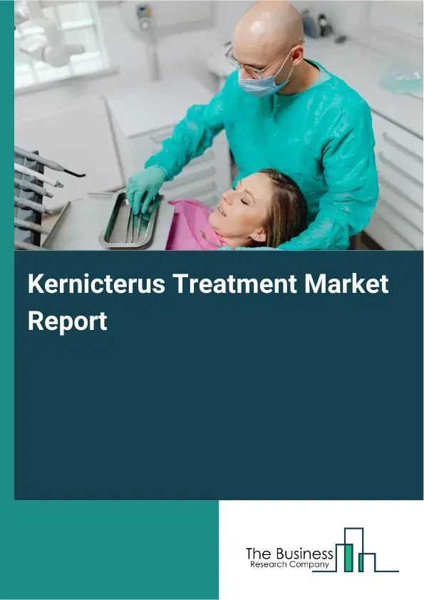 Global Kernicterus Treatment Market Report 2026