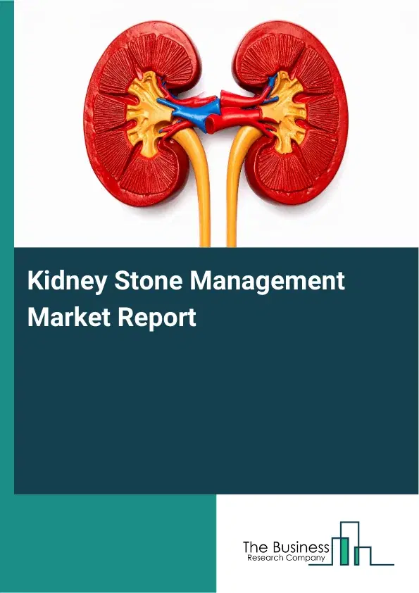 Global Kidney Stone Management Market Report 2026