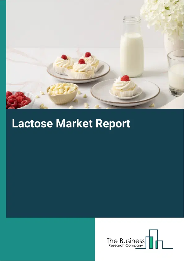Global Lactose Market Report 2026