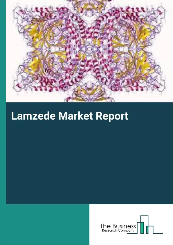 Global Lamzede Market Report 2026