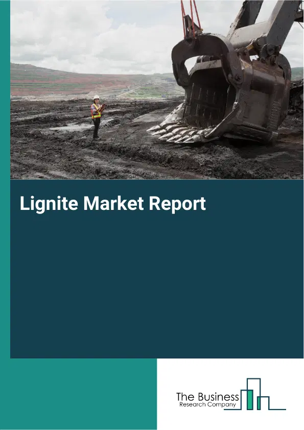 Global Lignite Market Report 2026