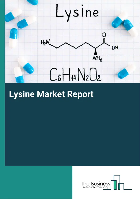 Global Lysine Market Report 2026