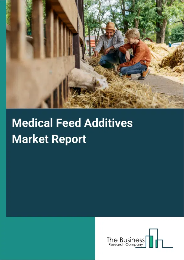 Global Medical Feed Additives Market Report 2026