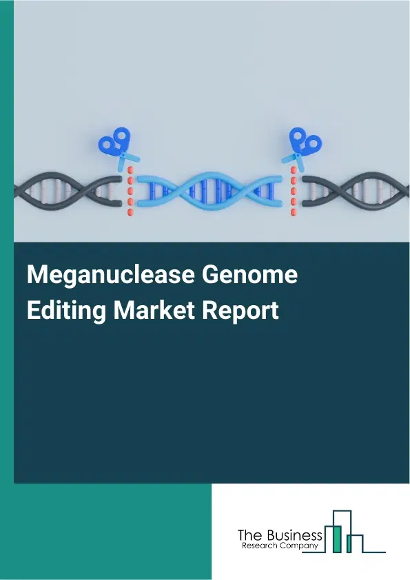 Global Meganuclease Genome Editing Market Report 2026