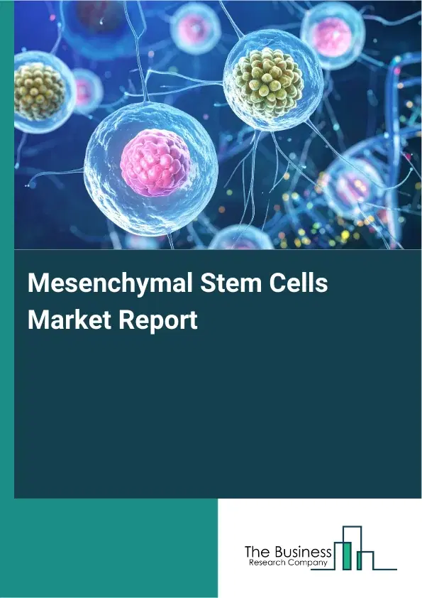Global Mesenchymal Stem Cells Market Report 2026