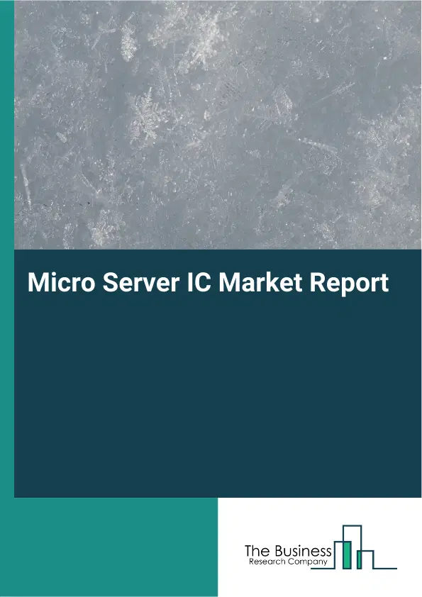 Global Micro Server IC Market Report 2026