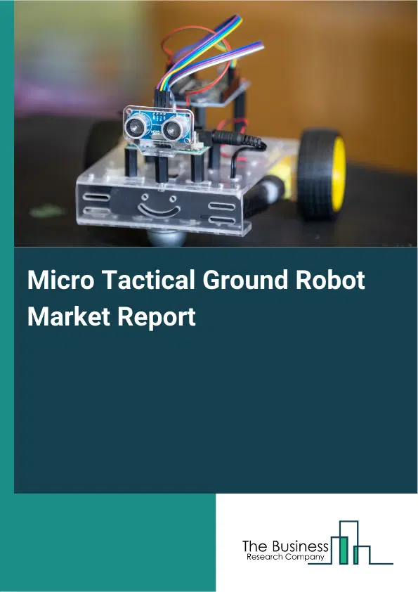 Global Micro Tactical Ground Robot Market Report 2026