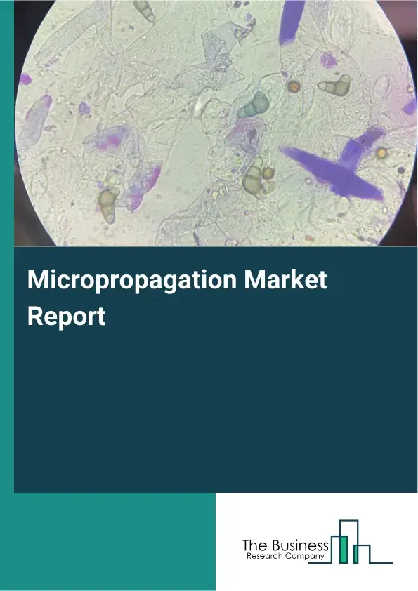 Global Micropropagation Market Report 2026