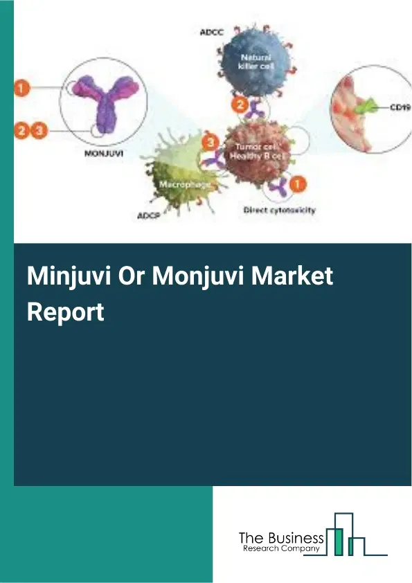 Global Minjuvi Or Monjuvi Market Report 2026