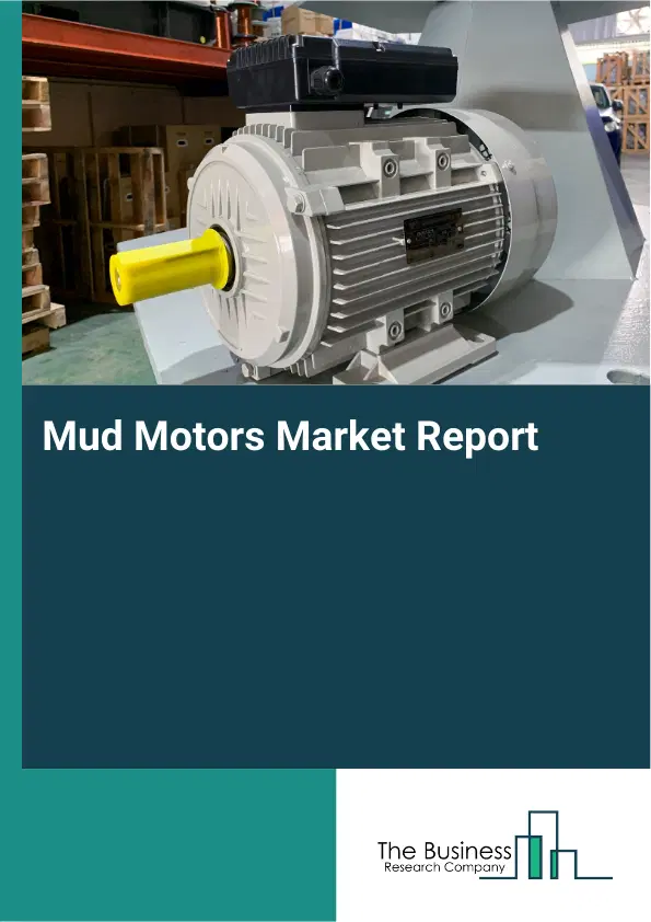 Global Mud Motors Market Report 2026