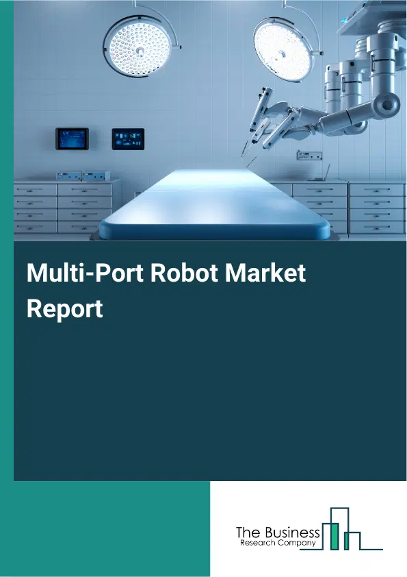 Global Multi-Port Robot Market Report 2026