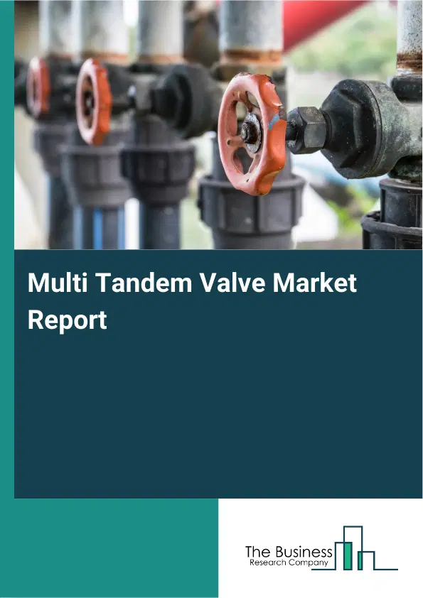 Global Multi Tandem Valve Market Report 2026