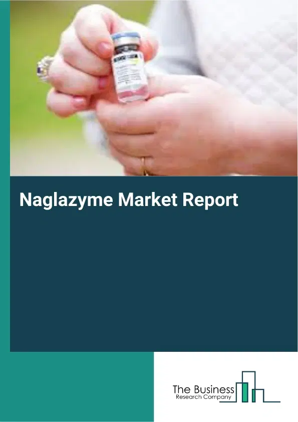 Global Naglazyme Market Report 2026