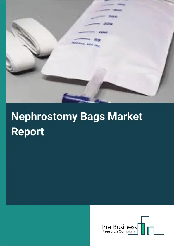 Global Nephrostomy Bags Market Report 2026
