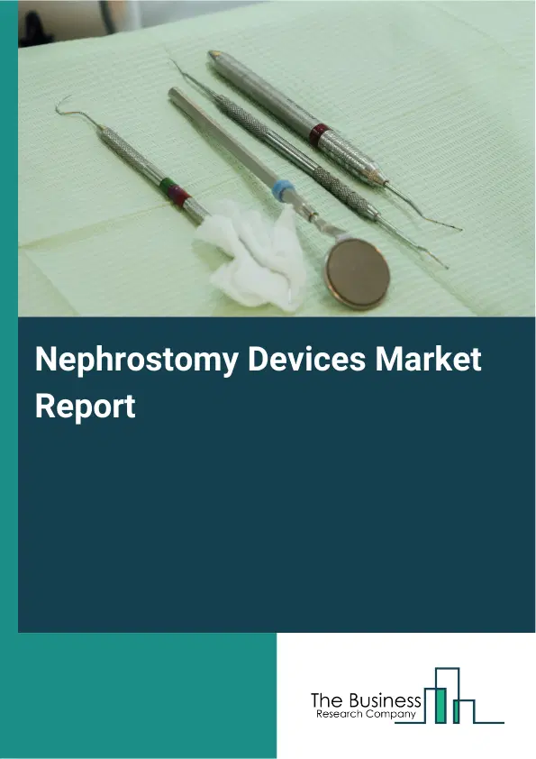 Global Nephrostomy Devices Market Report 2026