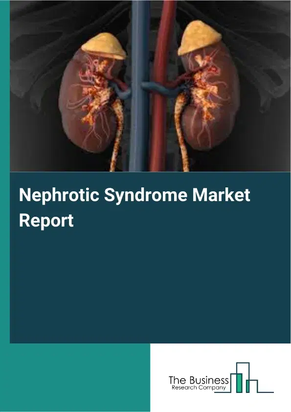 Global Nephrotic Syndrome Market Report 2026