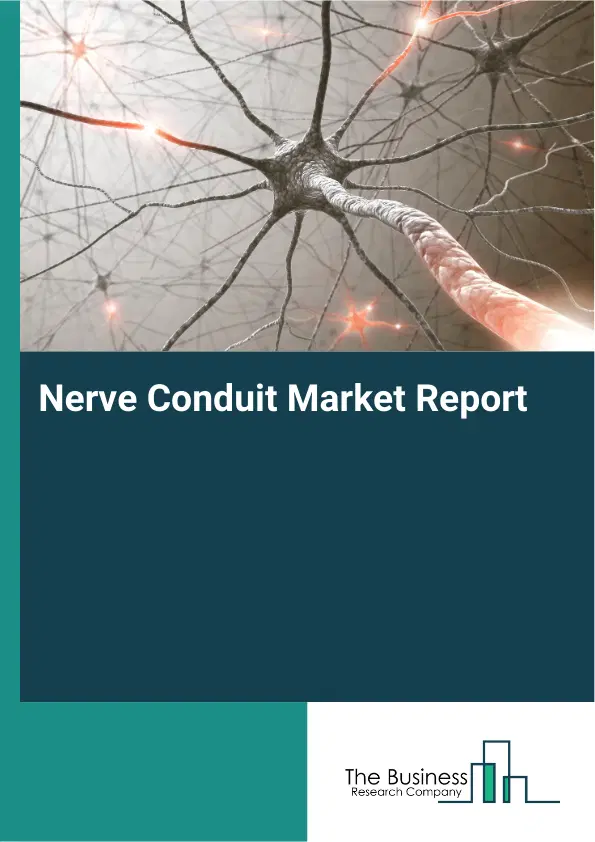 Global Nerve Conduit Market Report 2026