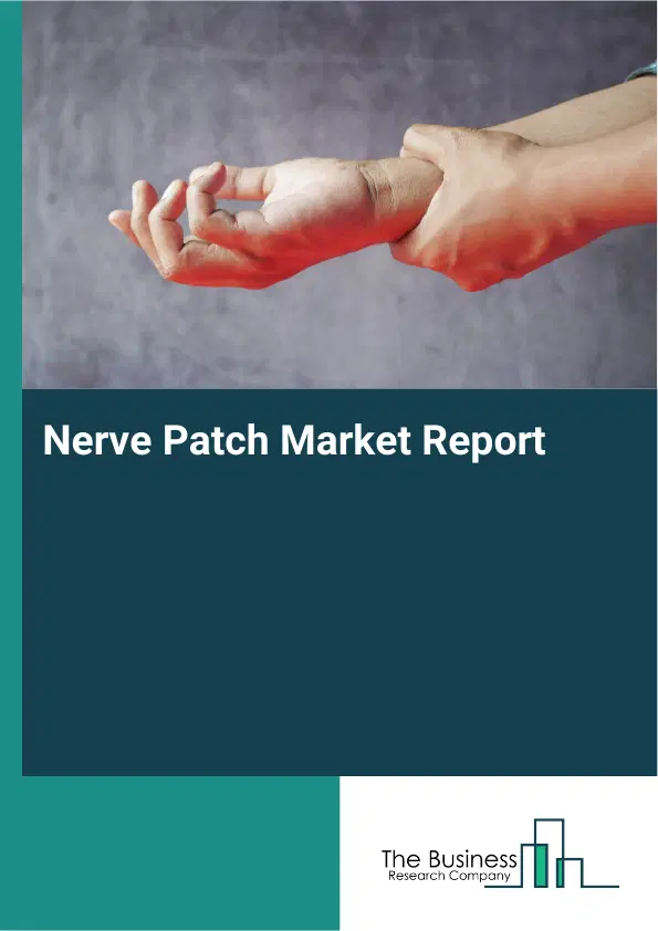 Global Nerve Patch Market Report 2026