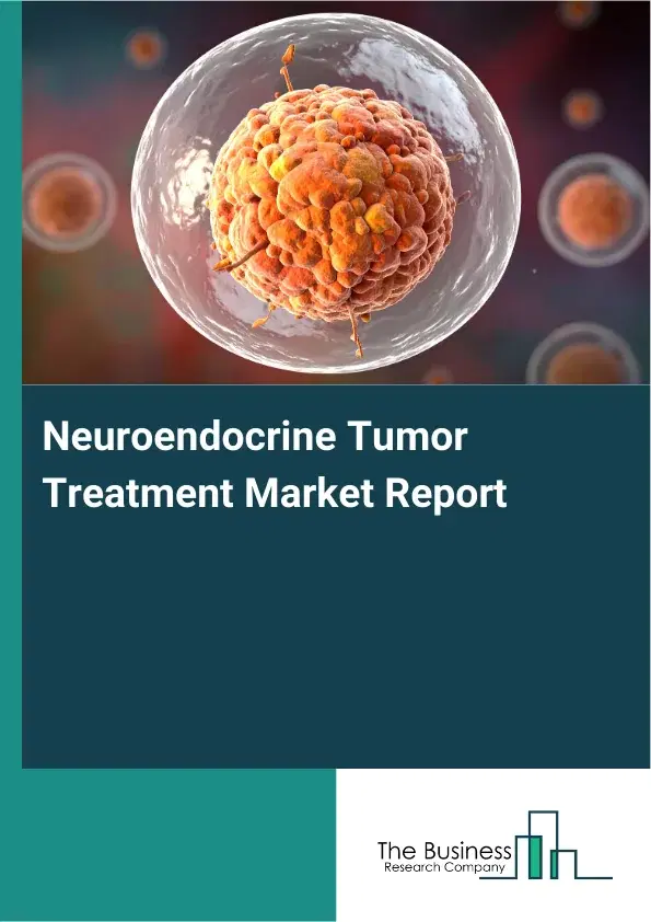 Global Neuroendocrine Tumor Treatment Market Report 2026