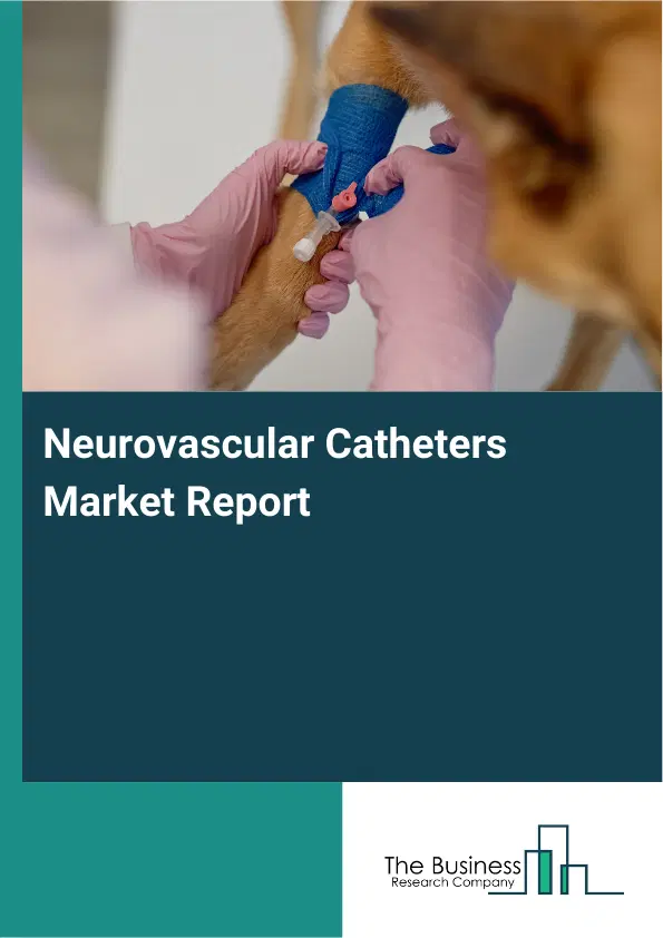 Global Neurovascular Catheters Market Report 2026